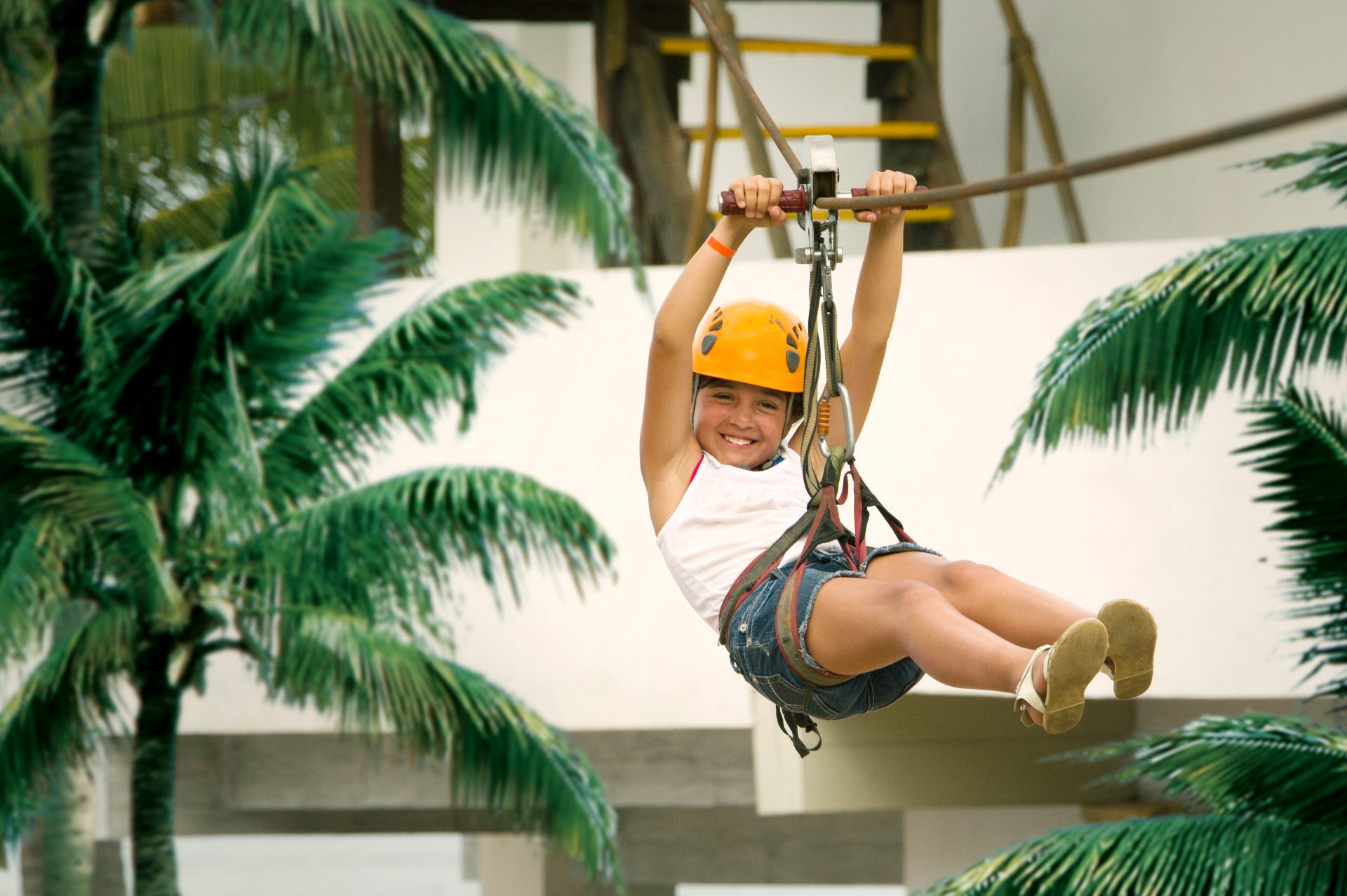 Zip Line